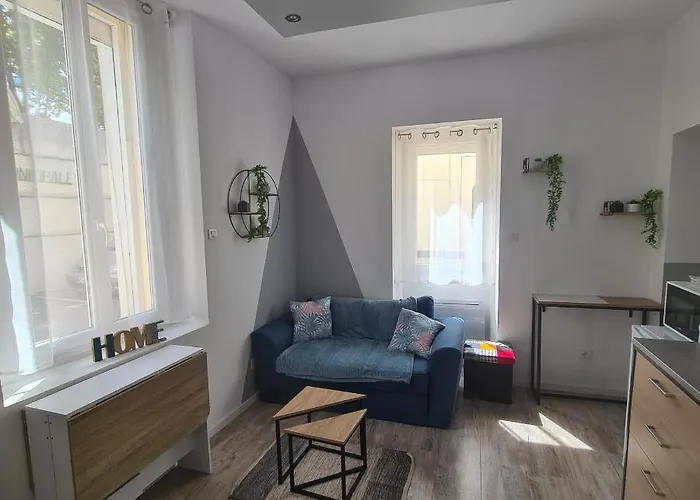 Apartamento Tres Joli 2 Pieces, Centre-ville