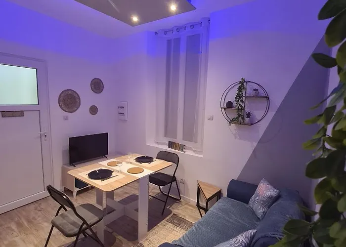 Apartamento Tres Joli 2 Pieces, Centre-ville